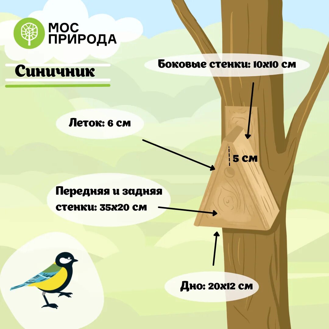 Как называется искусственное гнездовье для синиц