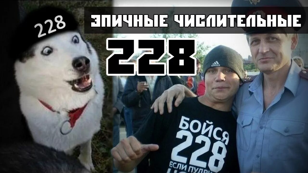 Что значит 1488 тик ток пасхалка. Бойся 228. Что означает 228. 228 Мемы. 1488 Мемы.