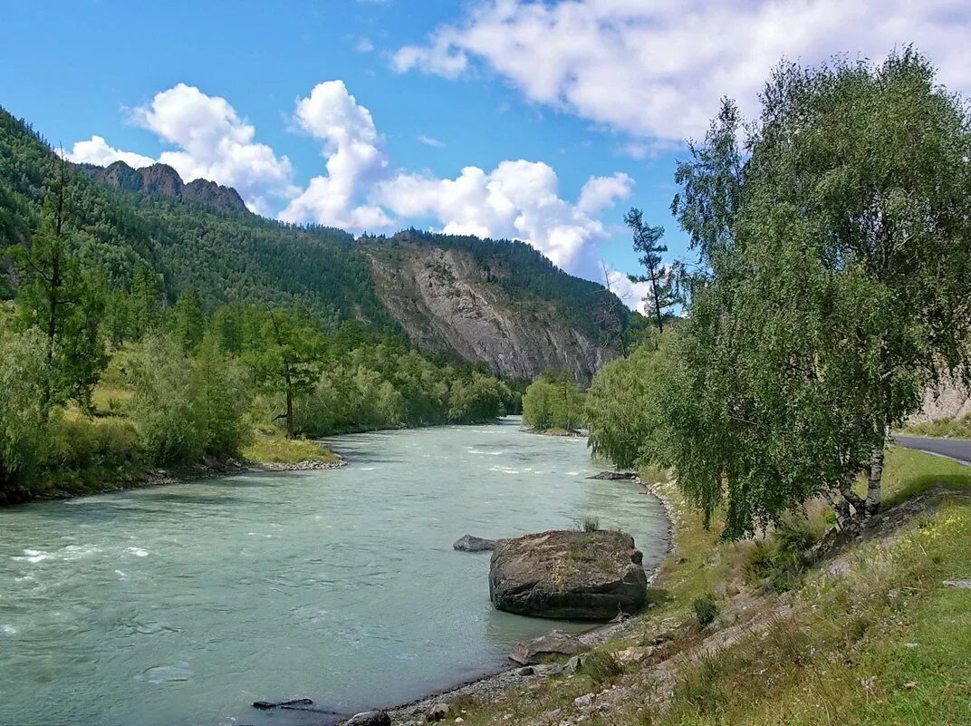 река чу в киргизии. на берегу чуя. река катунь горный алтай. на берегу чуя. реки алтая.