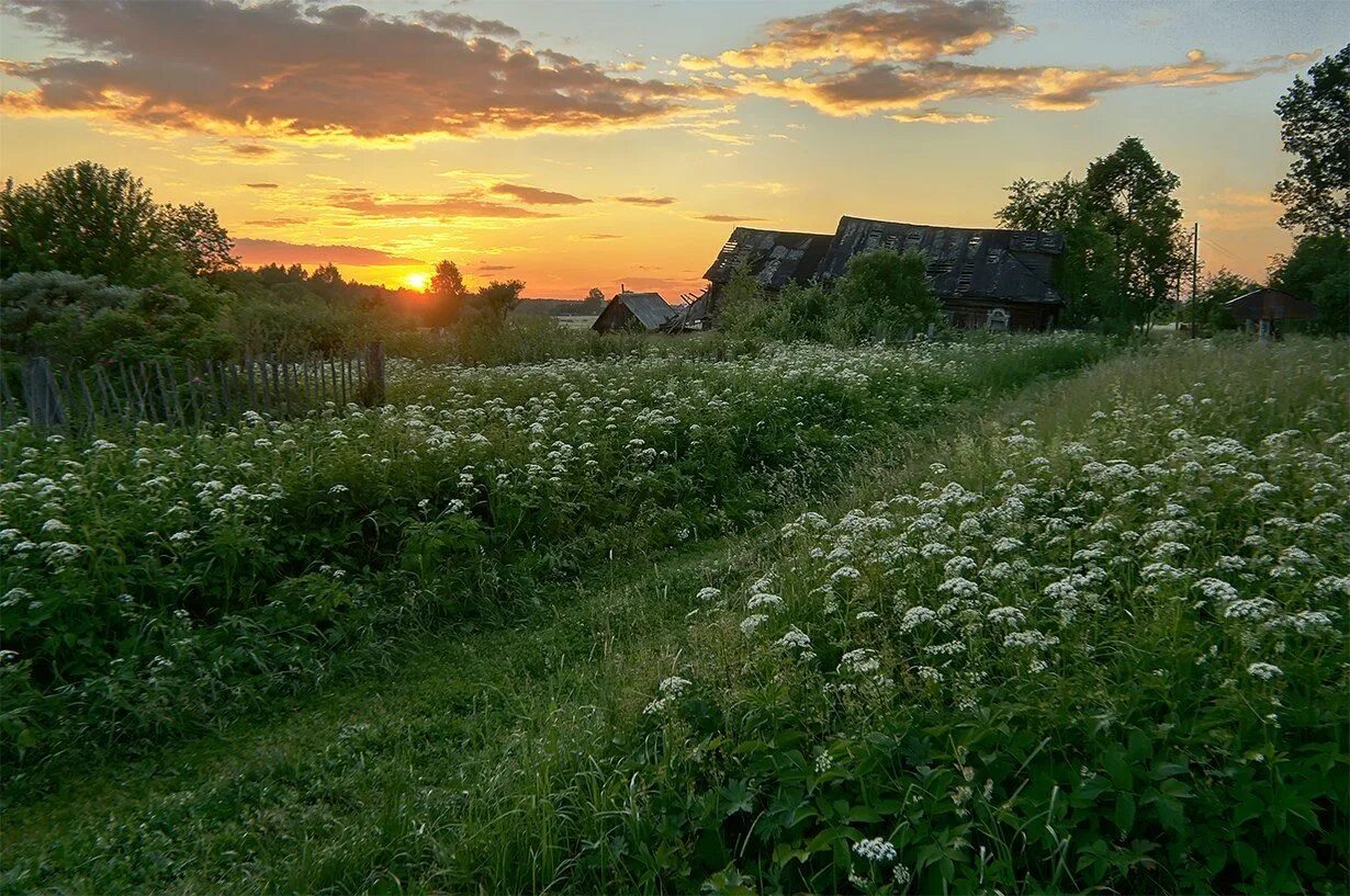 Лето в деревне. Деревенский пейзаж. Лето в деревне Эстетика. Деревенская природа. Деревня лето вечер