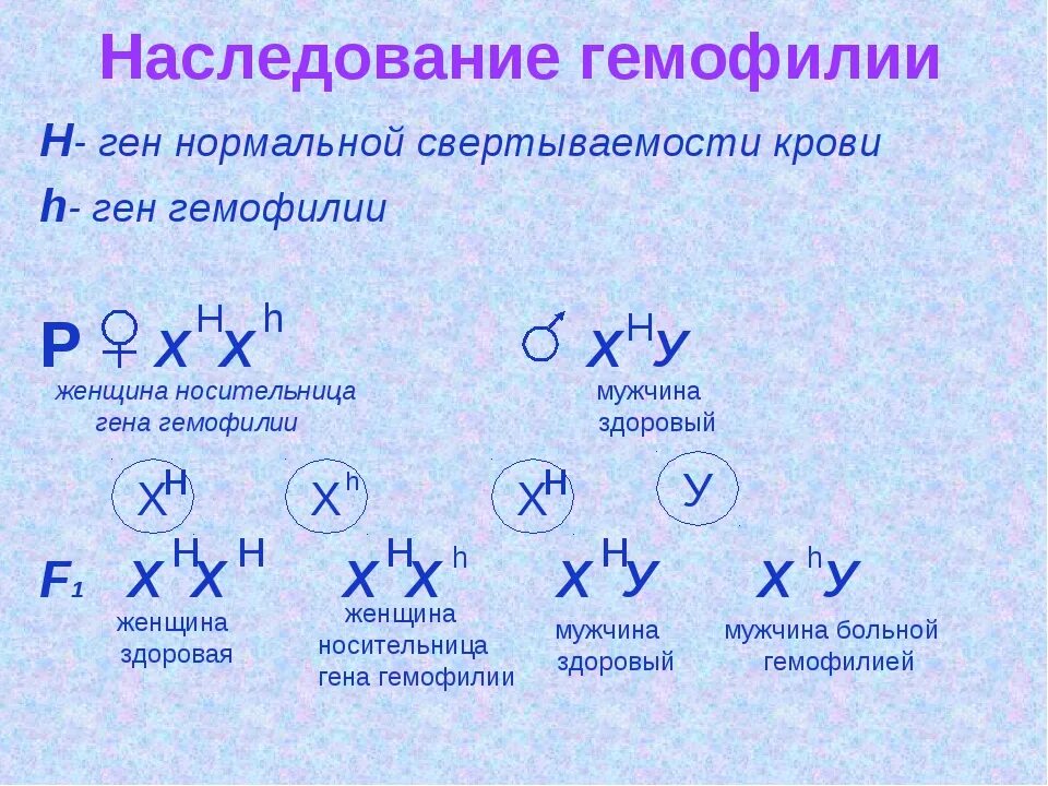 Мужчина больной гемофилией вступает в брак. Схема наследования признака гемофилии. Гемофилия сцепленное с полом. Сцепленное с полом наследование гемофилия.