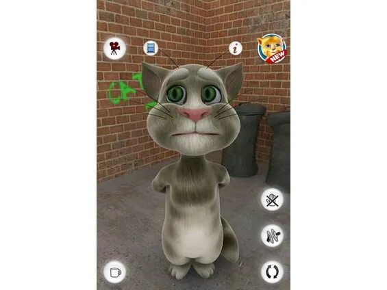 Самая старая версия говорящего тома. Talking Tom 2010. Планшет кот том talking Tom. Игра talking Tom Cat (2010). Talking Tom Cat 2.