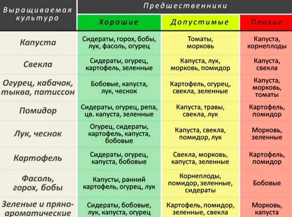 Лучшие предшественники для моркови. Лучшие предшественники для посадки овощей таблица. Таблица предшественников в севообороте. Севооборот овощных культур на дачном участке таблица. Чередование посадок овощных культур таблица.