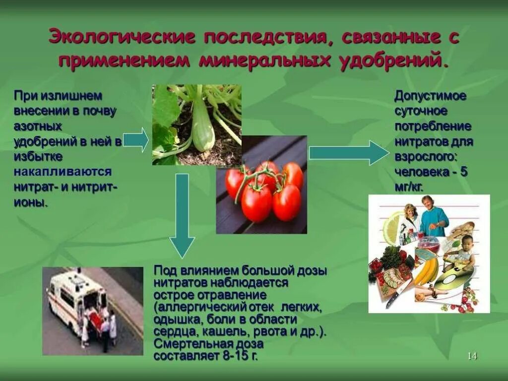 Почему использование высоких доз минеральных удобрений. Экологические последствия удобрения. Последствия применения Минеральных удобрений. Минеральные удобрения презентация. Применение Минеральных удобрений.