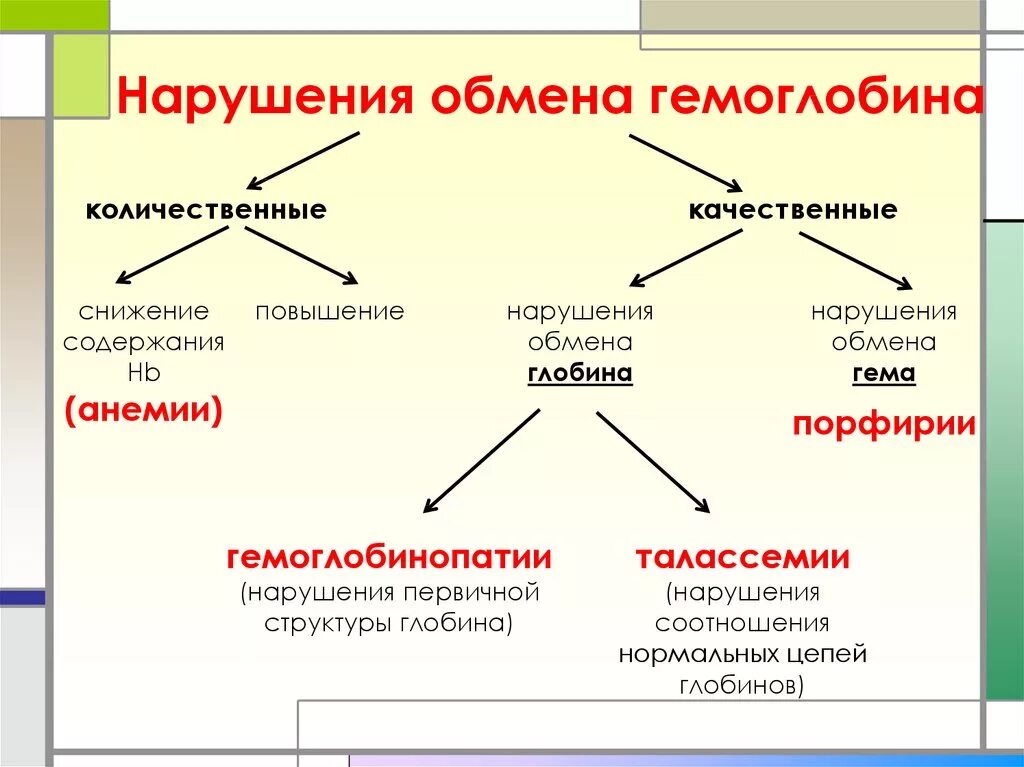 Нарушение структуры белков. Нарушение обмена гемоглобина. заболевания связанные с нарушением синтеза гемоглобина.