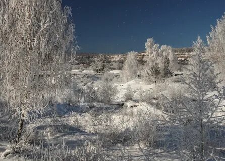 Зимой рано