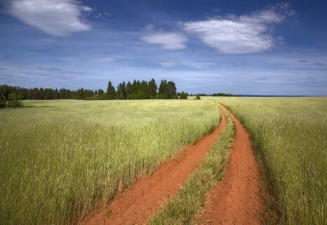 Sort fields