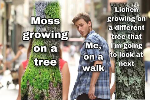 Mos meme