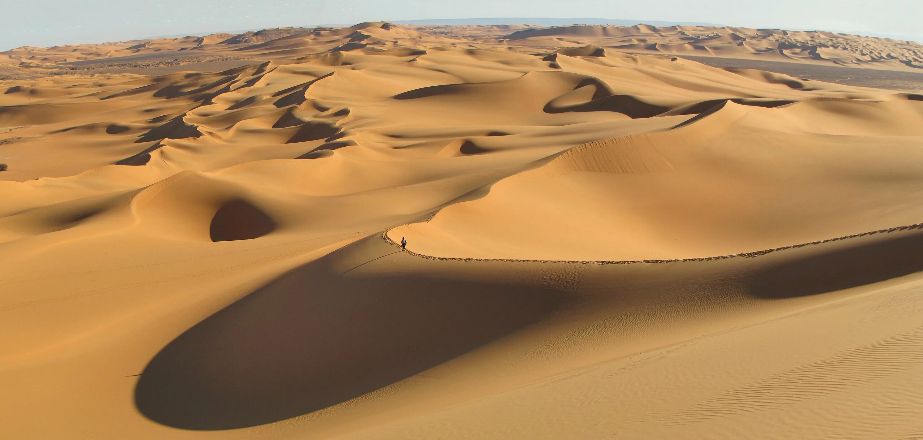Пустыня сахара плотность населения. Алжир сахара. sahara desert, algeria, африка. дюны алжира. пустыни алжира.