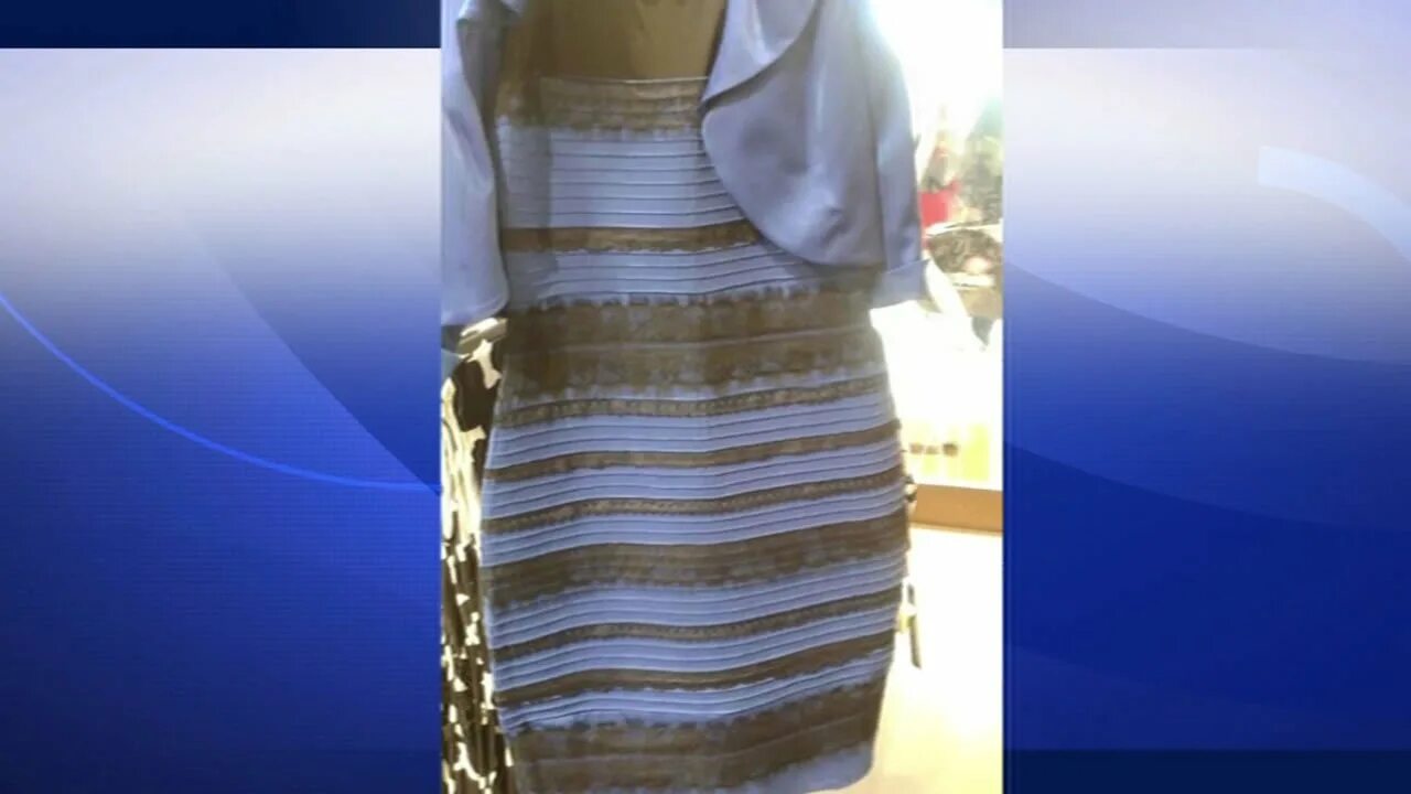Бело золотой сине. Иллюзия обмана сине черное платье. Золотое синее платье иллюзия. Платье белое золотое или сине-черное платье. Бело-золотое платье иллюзия.