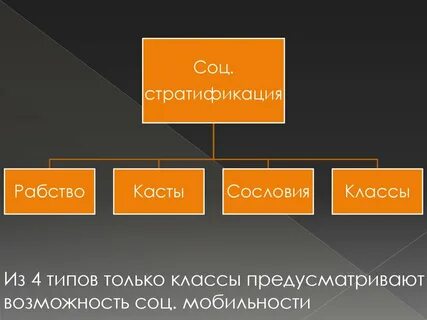 Кастовая социальная структура тип общества