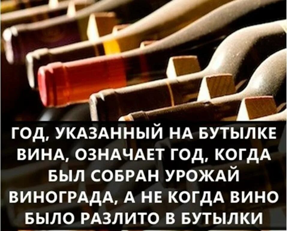 Интересные факты. Интересные факты обо всем. Удивительные факты. Интересные и Познавательные факты. Невероятные факты про