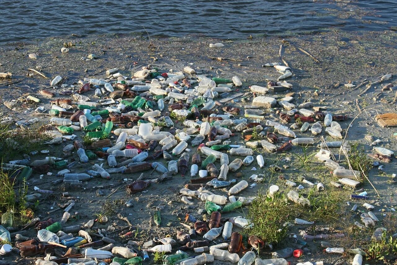 A lot of pollution. Имандра озеро загрязнено. Загрязнение водоемов. Загрязнение рек. Загрязнение воды бытовыми отходами.