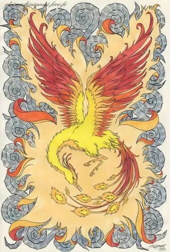 феникс стар. феникс стар красноярск. феникс аватар.