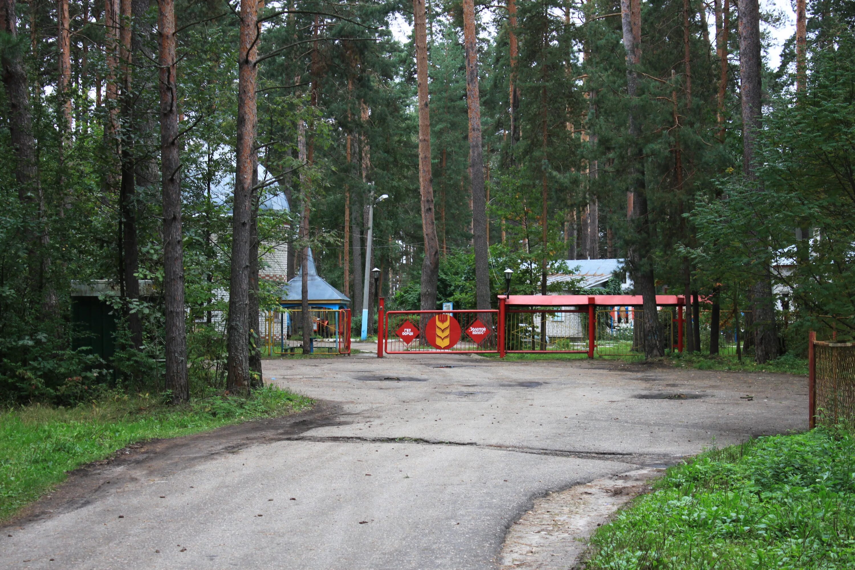 Дол колос. Лагерь золотой Колос Нижегородская область. Золотой Колос лагерь Арзамас. Золотой Колос лагерь Нижегородская область Арзамасский район. Санаторий золотой Колос Арзамасский район.