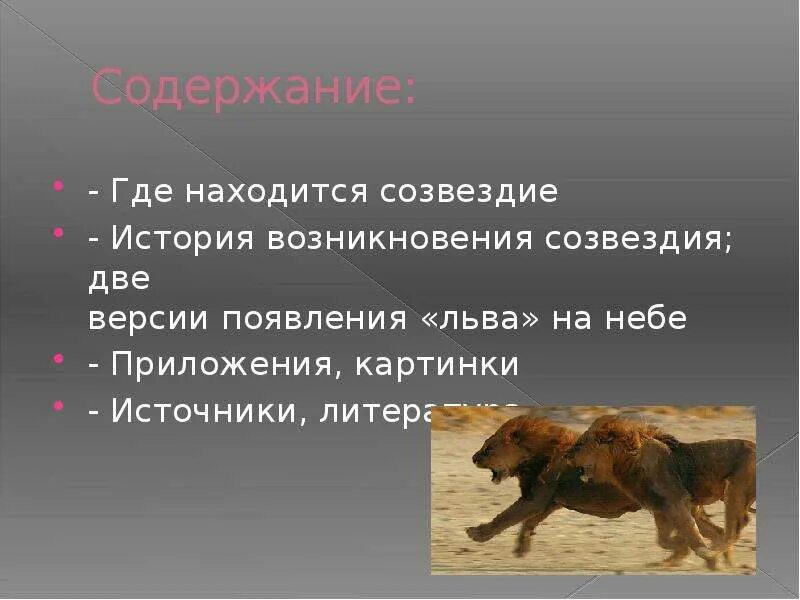 Созвездие лев рассказ 2 класс. Лев для презентации. Созвездие Льва презентация. Созвездие Льва окружающий мир. Рассказ о созвездии Льва.