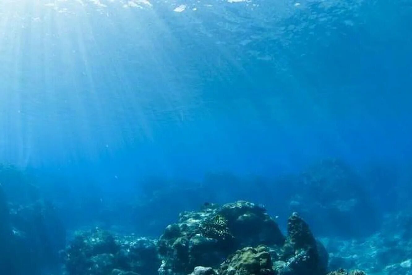 Толща воды в океане. Океан под водой. Океаны. Глубина. Дно океана. Дно моря.