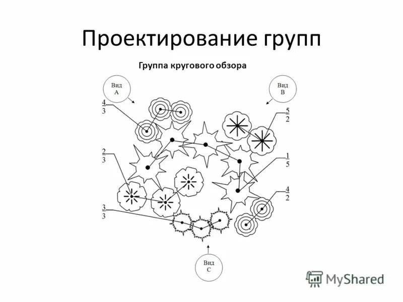 Кольцевая группа. Группа кругового обзора. Проектирование древесной группы. Проектирование древесной группы кругового обзора. Группа растений кругового обзора.