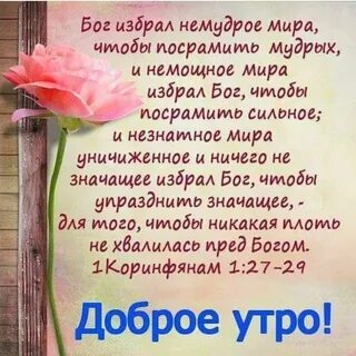 Доброе утро стихи из библии