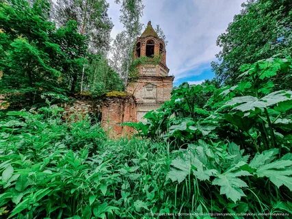 Заросший храм