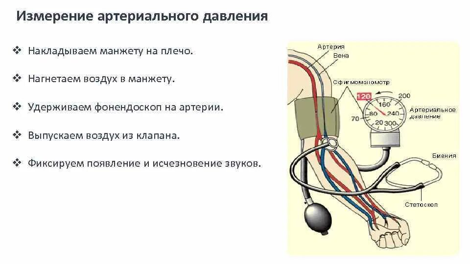 Как называется измерять давление людям
