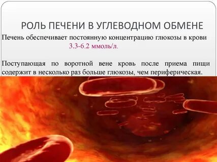 Роль печени в обмене