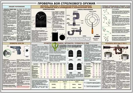Упражнения начальных стрельб из стрелкового оружия