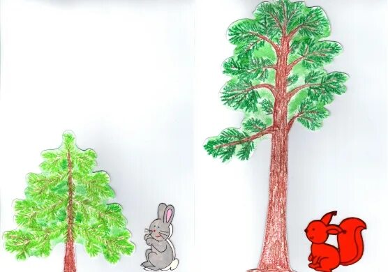 Высокое и низкое дерево. Деревья выше ниже. Высокое и низкое дерево для детей. Низкие деревья для детей.