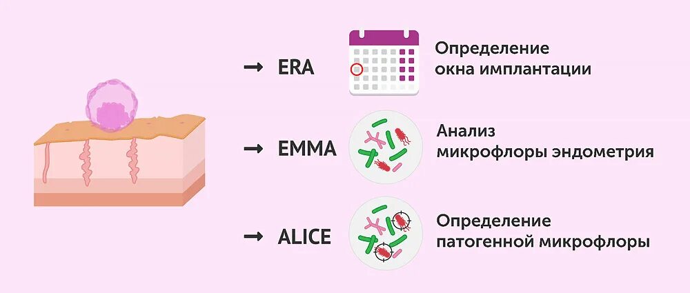 Оценка функционального состояния эндометрия алгоритм. Era тест. Era тест эндометрия. Состояние эндометрия необходимое для успешной имплантации. Тонкое эндометрия отзывы