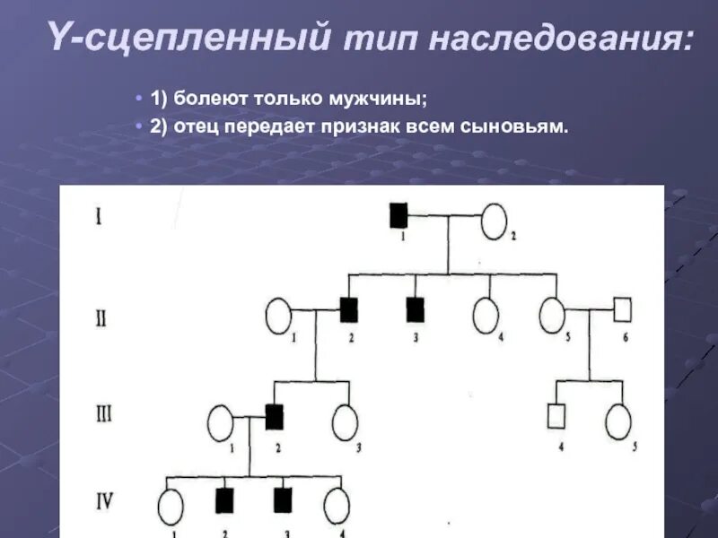 Заболевания сцепленные с y хромосомой. У сцепленный Тип наследования. Y сцепленный рецессивный Тип наследования. Y-сцепленный Тип наследования болезни. Y сцепленный доминантный Тип наследования.