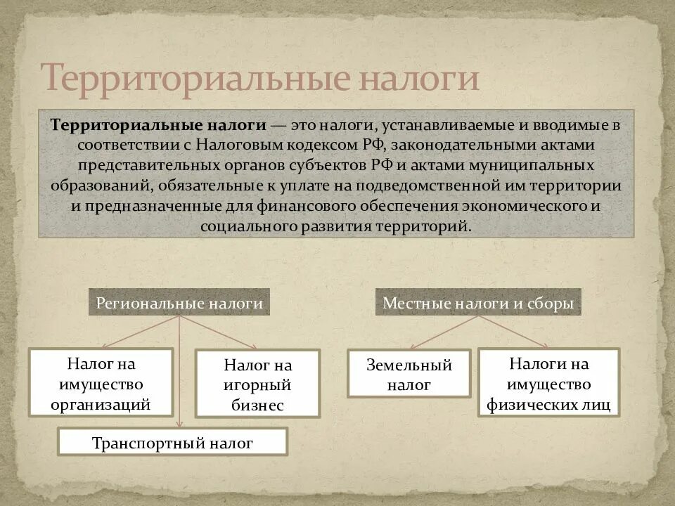 Виды налогов государственные территориальные и муниципальные