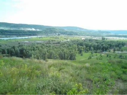Село малая царевщина самарская область