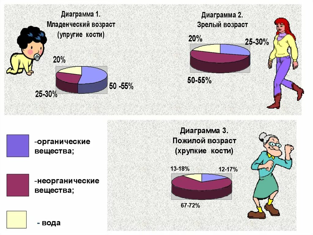 Химический состав кости диаграмма. Соотношение органических и Минеральных веществ в костной ткани. Органические вещества в костях. Содержание органических веществ в костях с возрастом. В химическом составе костей пожилого человека