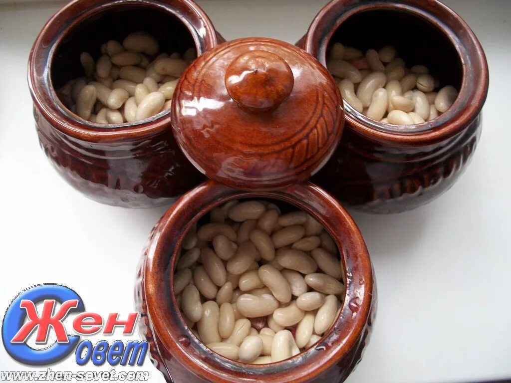 фасоль в горшочке. рецепты фасоли в горшочках. лобио рюмили. фасоль готовая. фасоль в горшочке блюдо.