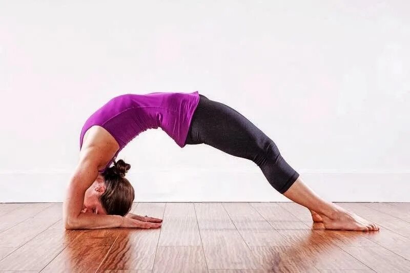 My yoga. групповые занятия медитации. My yoga. фото в отличном качестве йога. йога картинки.