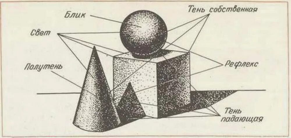 Распределение светотени на геометрических телах. Освещение свет и тень. Основы светотени в рисунке. Элементы светотени на рисунке. Схема света и тени