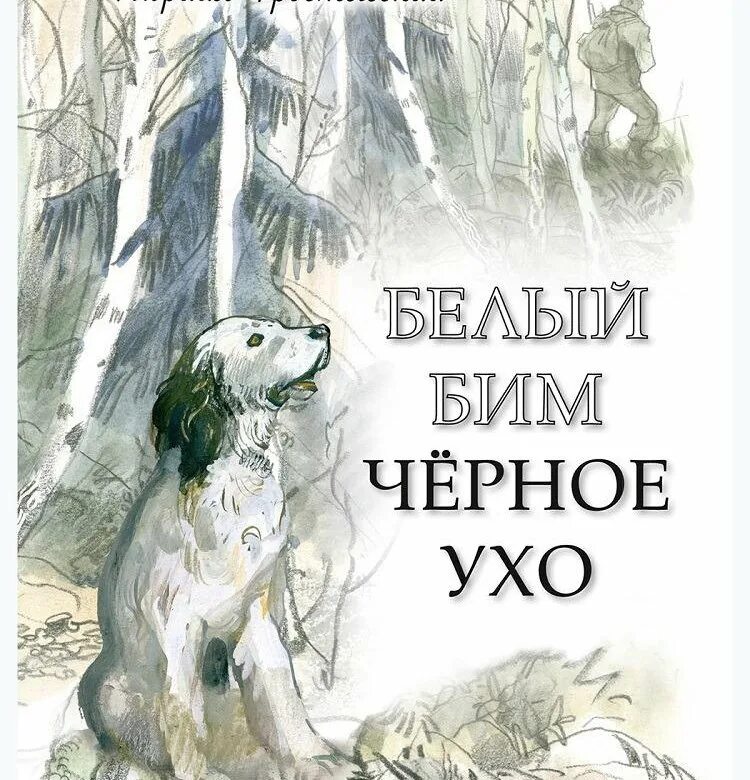 Белый бим черное ухо глава 1. Книга Троепольского белый Бим черное ухо. Троепольский г.н. «белый Бим черное ухо» книга с 3д. Обложка книги белый Бим черное ухо.