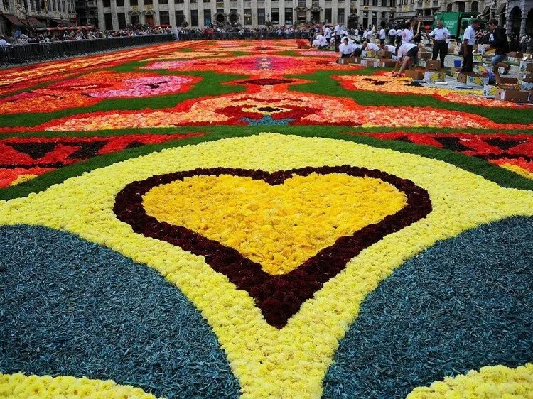 ковер из живых цветов в брюсселе. ковер цветочная овальный. 1 мая в италии фестиваль цветов. цветочный ковров. ковер из живых цветов.