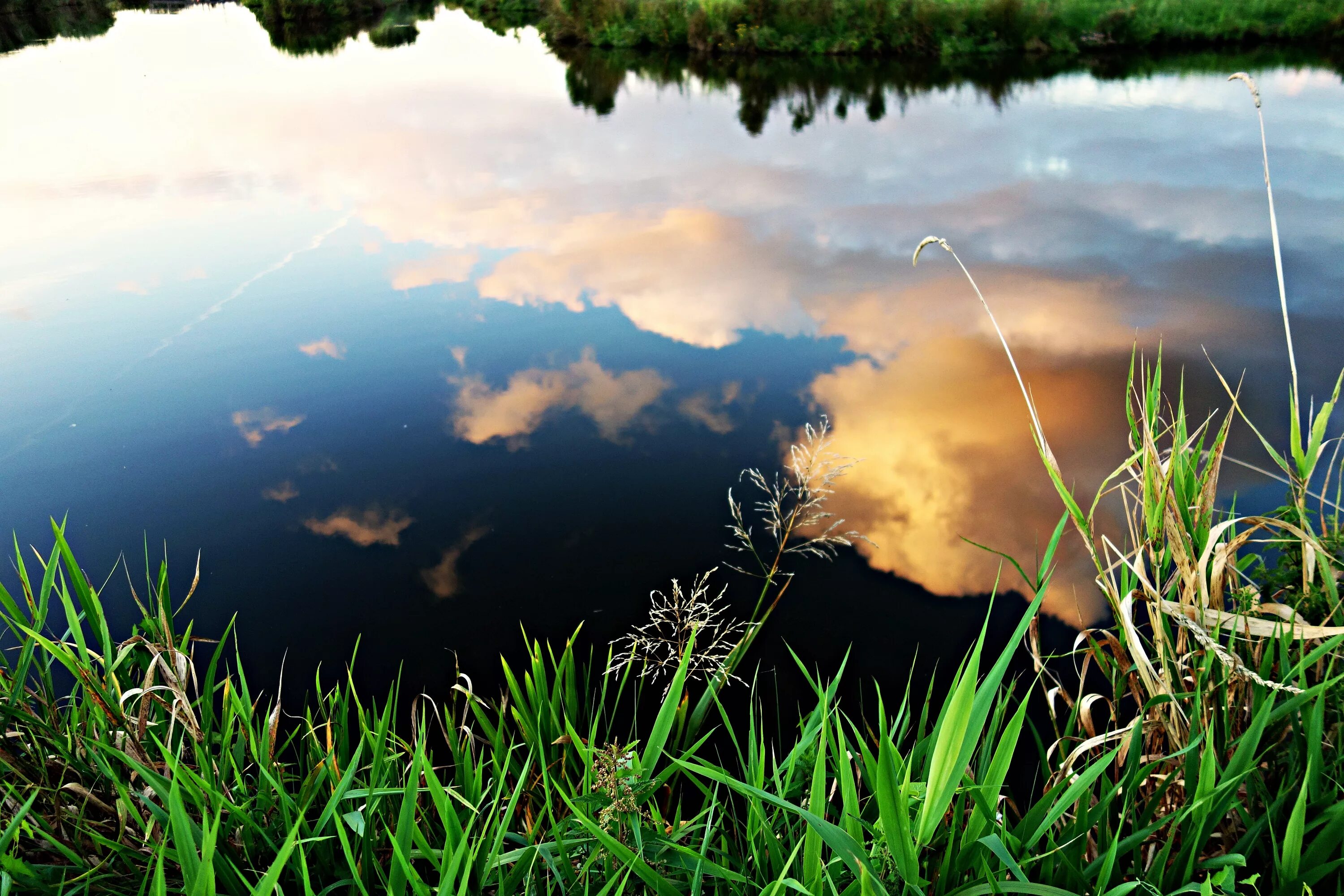 В природе отражаются на. Отражение в воде. Отражение в озере. Отражение неба в реке. Трава в воде.