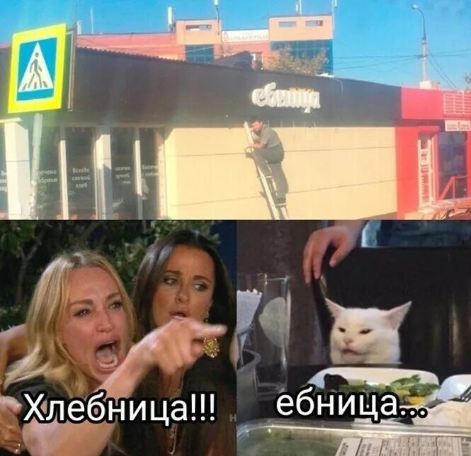 Мем про девушку и кота. Мем кот и две девушки. мемы с двумя девушками и котом. мем с котом и девушками. мем с белым котом и двумя девушками.