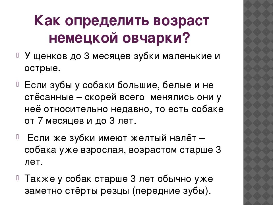 Как узнать Возраст щенка овчарки. Как понять Возраст щенка по зубам. Как можно узнать Возраст щенка. Как определить по щенку Возраст. Определить возраст часов