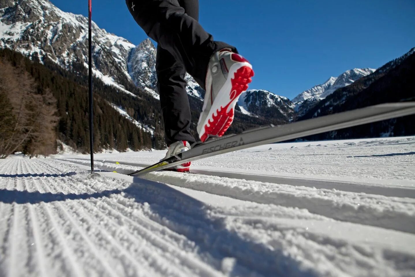 Сайт лыжника. Лыжник. Беговые лыжи. Ноги лыжника. Лыжник картинка.