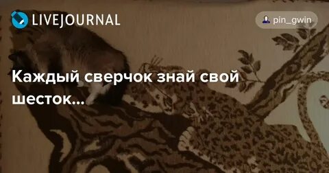 Знай свой шесток