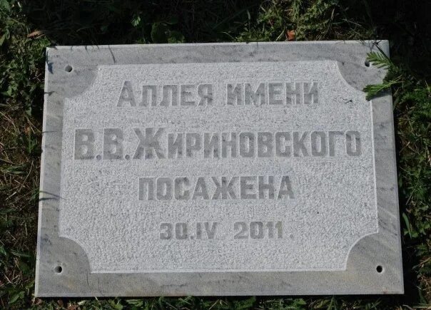 Аллея жириновского воронеж где. Дом жириновского в кузьминках. Аллея жириновского курск фото. Аллея жириновского воронеж где. Аллея жириновского воронеж где.