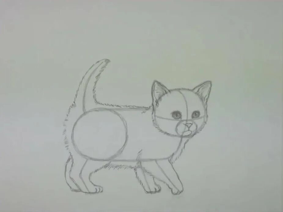 Рисунок кота видео. Маленький котенок карандашом. рисунок котят легко маленький. рисование котенка маленького. рисунок маленького котенка легкий.