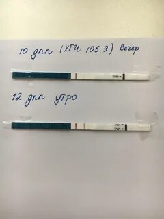 8 дпп призрак