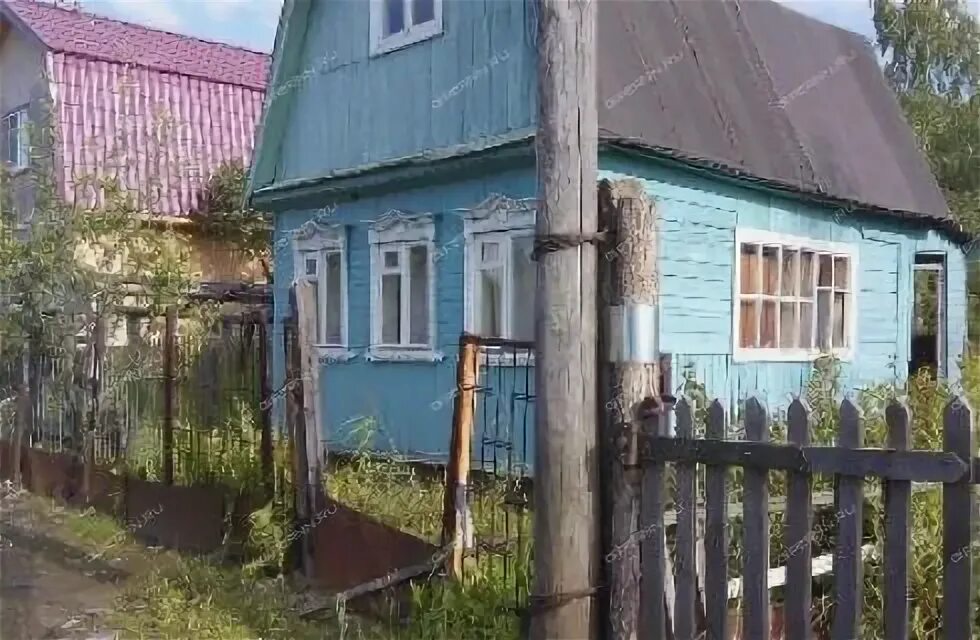 Снт сокол нижний новгород. Сады сокол нижний новгород. Сады сокол нижний новгород. Снт сокол 1 нижний новгород. Ооо соколиные сады.