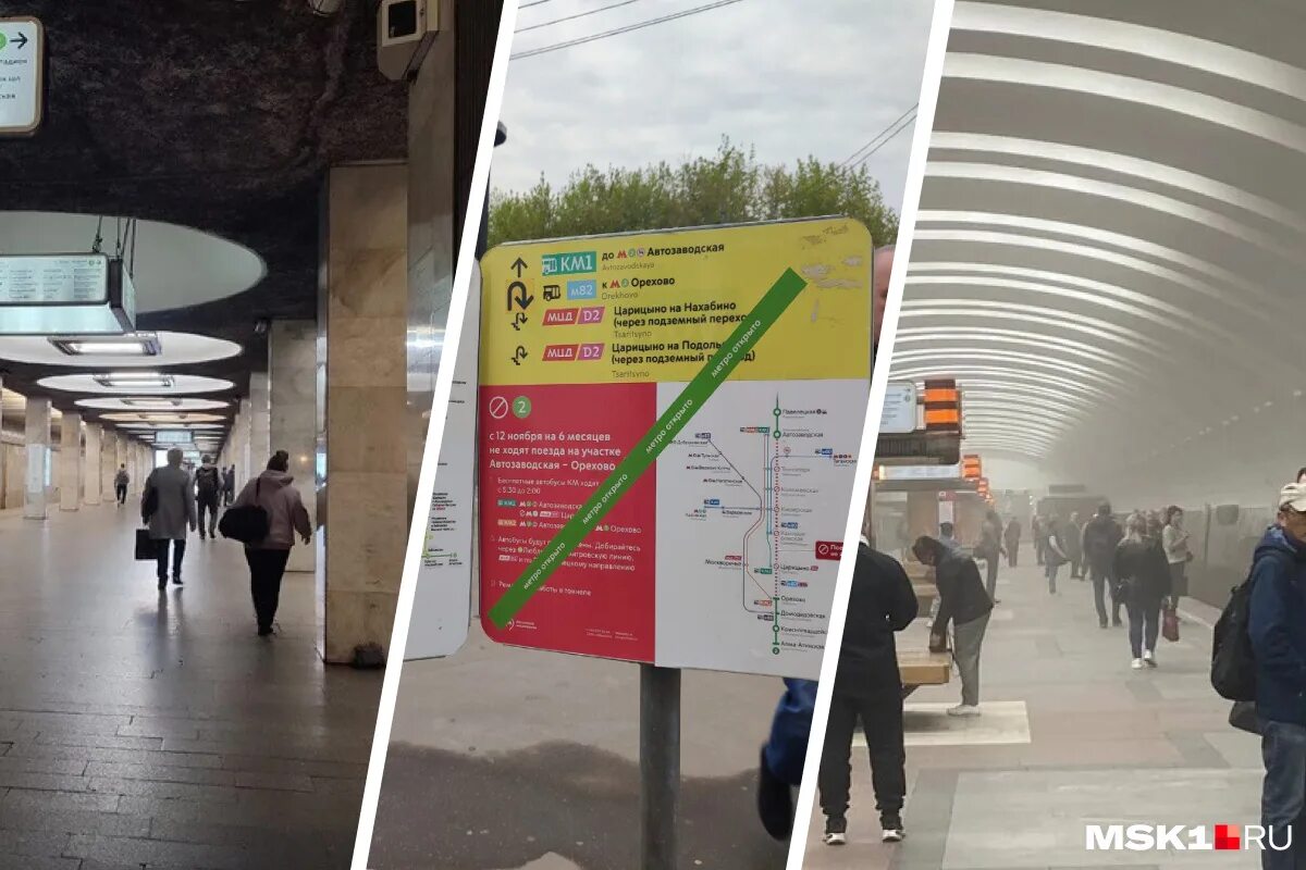 открыли зеленую ветку