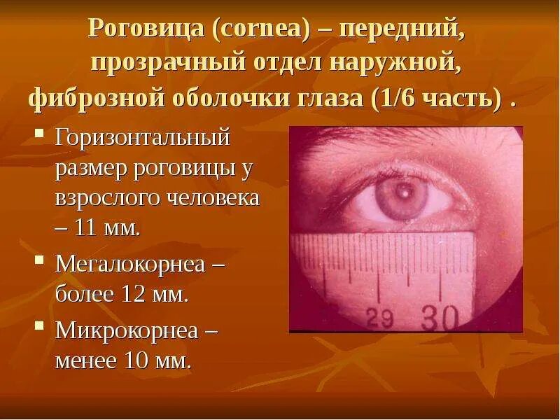 Норма роговицы. Диаметр роговицы в норме у взрослых. диаметр роговицы в норме. горизонтальный диаметр роговицы в норме.