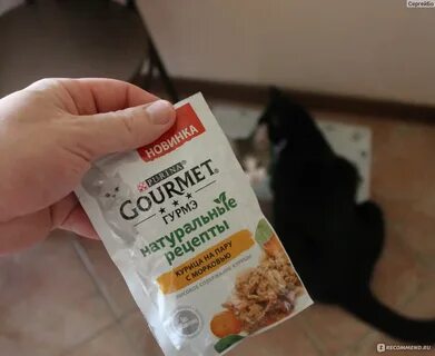 Натуральные рецепты для кошек